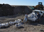 Grey nomads look for dinosaur bones
